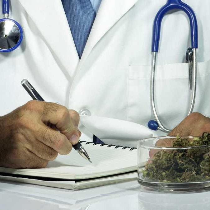 Medical Marijuana Doctors in Florida