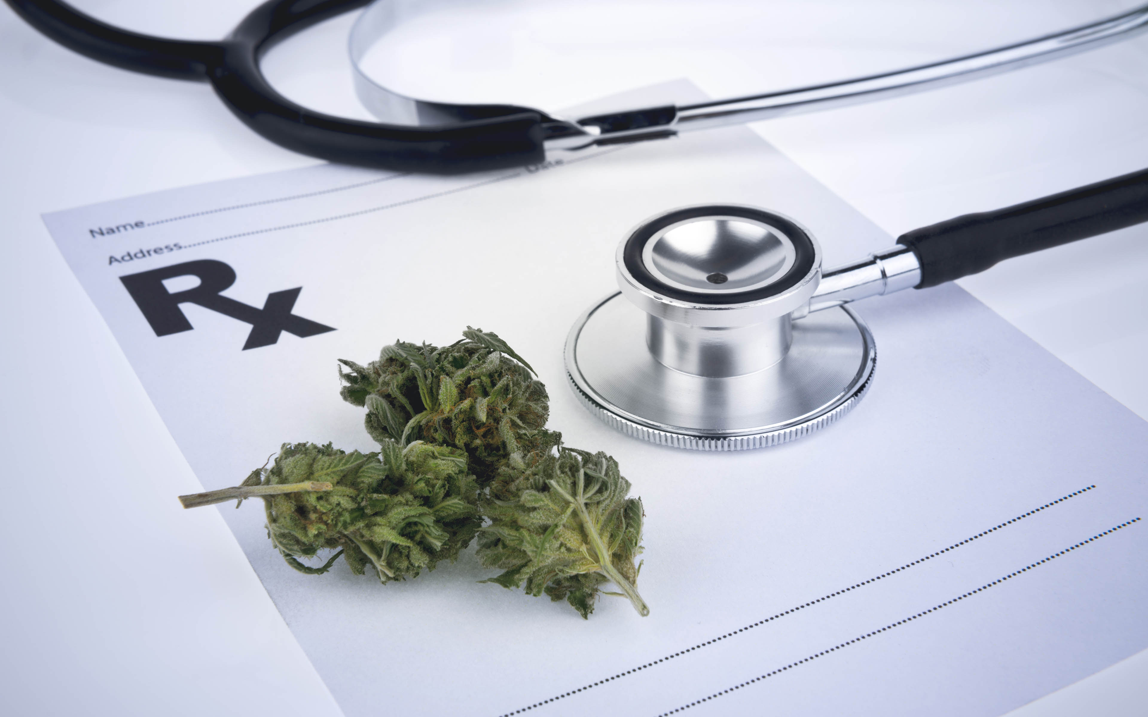 Marijuana Doctors In Florida