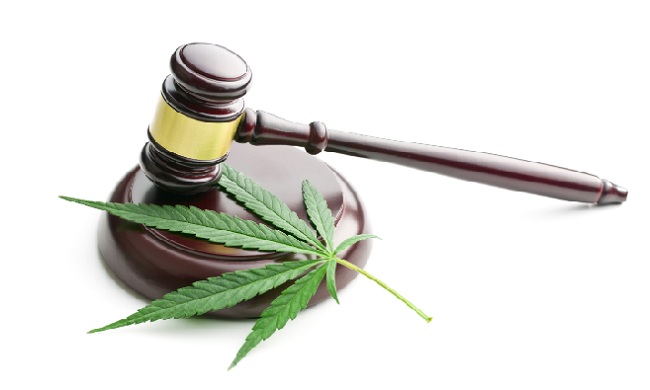 Florida Medical Marijuana Laws 