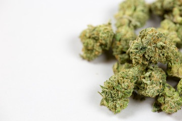 Medical Marijuana Card Renewal